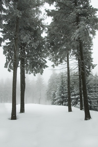 在波兰语山雪域景观