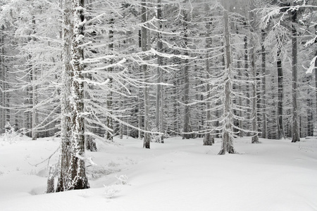 在波兰语山雪域景观