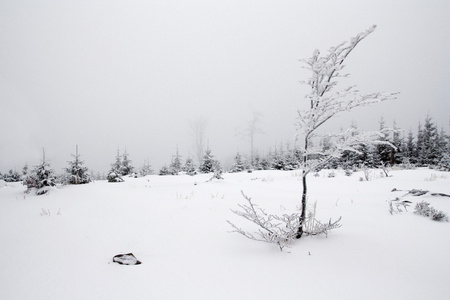 在波兰语山雪域景观