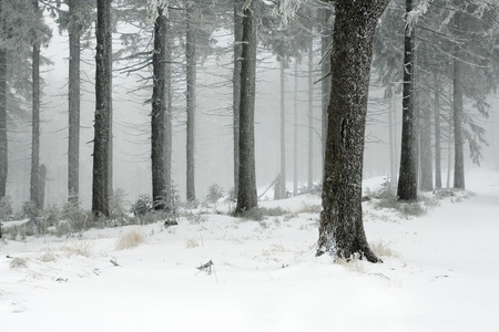 在波兰语山雪域景观