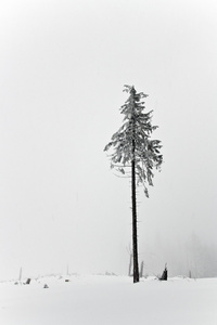 在波兰语山雪域景观