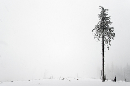 在波兰语山雪域景观