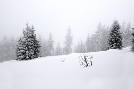 在波兰语山雪域景观