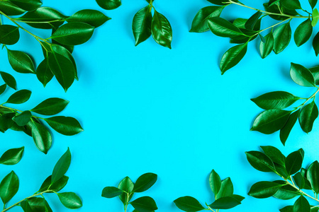 绿树叶子框架以蓝色背景图片