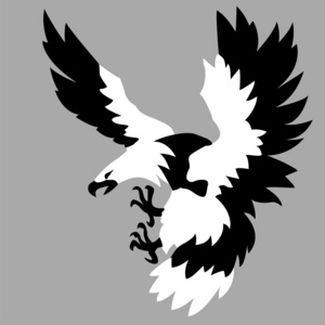 在灰色的背景上绘制的鹰