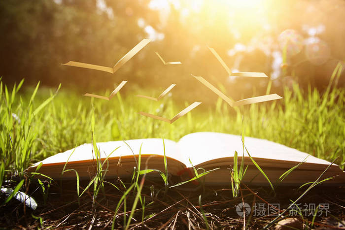 打开老书与飞行页在绿色春天草在森林在太阳光之下