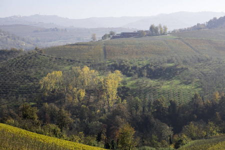 Langhe, 意大利山麓, 秋季的葡萄园丘陵