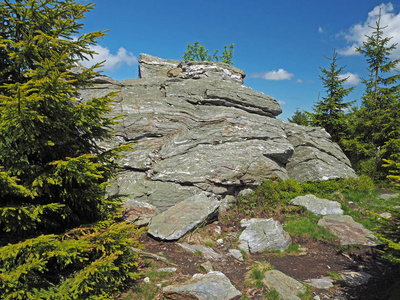 Jeseniky 山捷克云杉树上的石头和石头