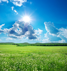 在绿色的草地的地平线图片