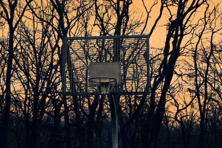 日落和树木背景下篮球篮