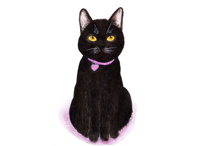 黑猫.白色背景下的一只猫的肖像.水彩插图.
