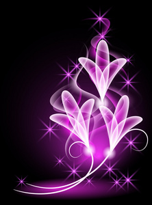透明鲜花和星星照片