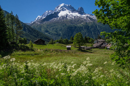 来自萨摩亚蒙面的col savoiefrance