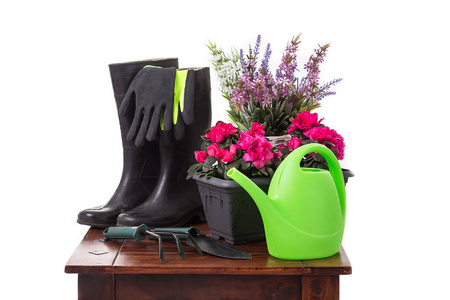 园艺工具和花卉, 如浇水罐, 橡胶靴, 花瓶, 壶, 手套在白色背景下隔离