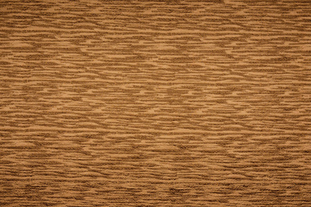 行的哑铃棕褐色图片