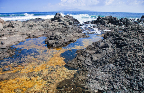 北部 fuertventura 浅层岩池在黑色火山岩石