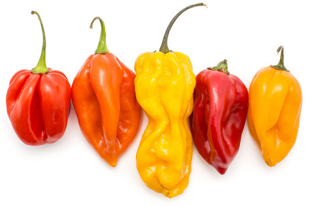 彩色哈瓦那人辣椒设置顶部视图被隔离在白色背景五黄橙红色辣椒