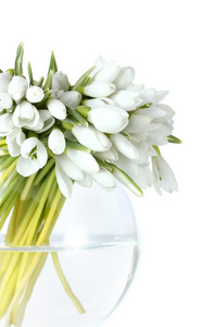 束美丽的白色上孤立的透明花瓶里五彩缤纷