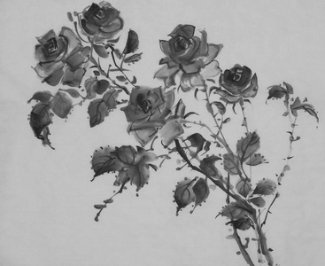 单色玫瑰花图片