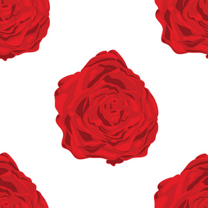 白色背景下红玫瑰的矢量模式