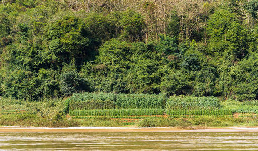 景色的河流南汗, 琅勃拉邦, 老挝。复制文本空间