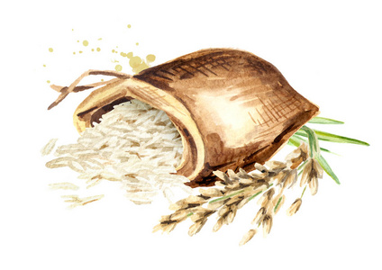 水彩手绘插图在白色背景上被隔离照片