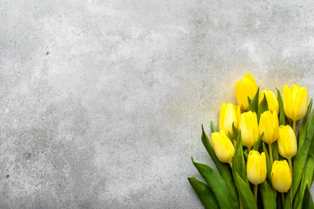 黄色郁金香, 春天复活节背景为妇女天或卡片为母亲节与花