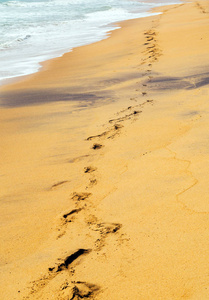 沙丘沙滩路的脚印