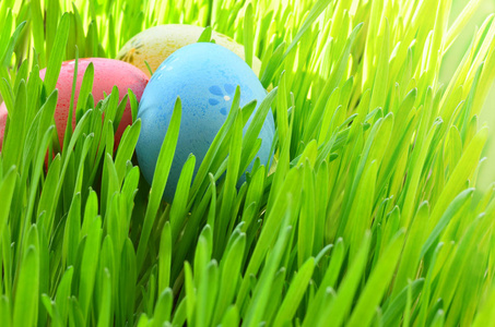 在草地上的绿草上画复活节彩蛋