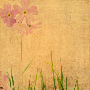 花卉背景图像图片