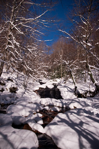 雪山河流