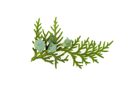 性质第六天图片