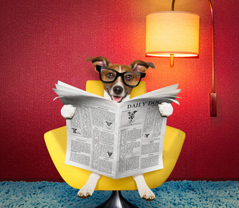 在家里的狗读报纸