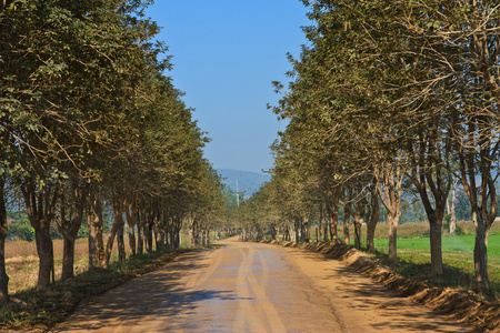 农村的道路