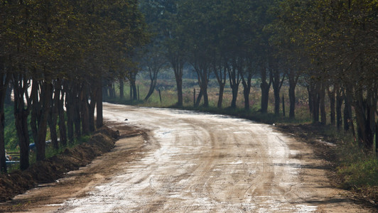 农村的道路