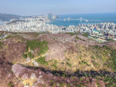 Geumryeonsan 山樱花泉, 釜山, 韩国, 亚洲