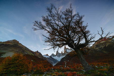 在国家公园洛杉矶 Glaciares 国家公园日落期间的看法。秋天在巴塔哥尼亚, 阿根廷边