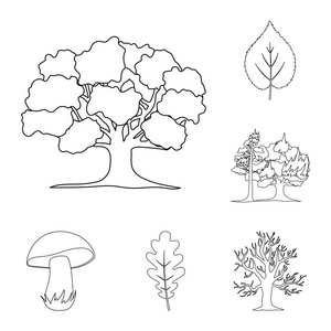 森林和自然大纲集合中的图标设计。森林生命矢量符号股票网页插图