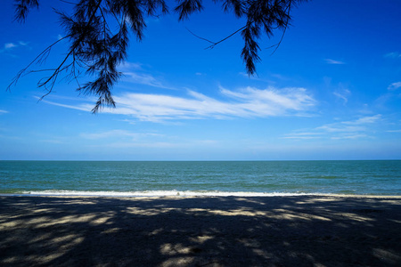 海水明亮蓝天背景和松树枝前景下的软抽象树荫和阴影图案风景