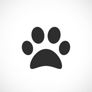 在家里的床上的在房子里,博美犬美容宠物狗可爱小狗动物爪子纹身的
