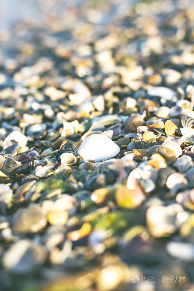 海边的沙滩上的鹅卵石
