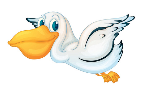 鹈鹕, 火烈鸟, 上白色孤立阿比西尼亚犀鸟卡通鹈鹕飞离白色背景鹈缮