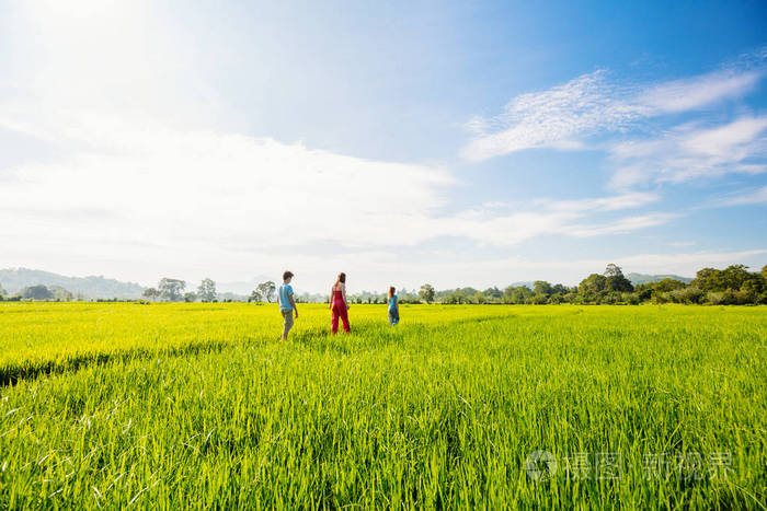 母亲家庭和两个孩子享受和平漫步在稻田与令人惊叹的