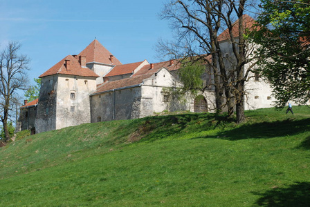建筑类型 Svirzh 城堡