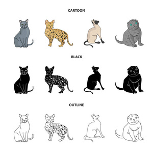 暹罗等物种。猫品种集合图标动画, 黑色, 轮廓风格矢量符号股票插画网站