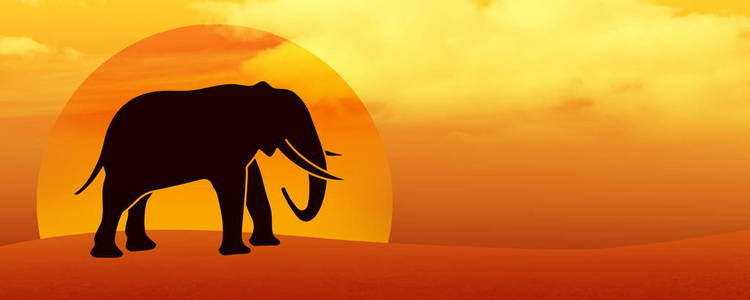 夕阳下沙漠中的大象剪影
