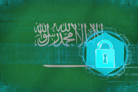 沙特阿拉伯网络被保护。电子安全概念