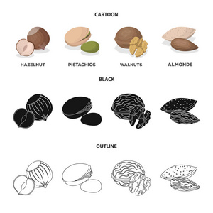 榛子, 开心果, 核桃, 杏仁。不同种类的坚果集合图标在卡通, 黑色, 轮廓风格矢量符号股票插画网站