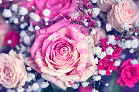 特写镜头用粉红玫瑰花卉组成。许多美丽的鲜粉红色玫瑰