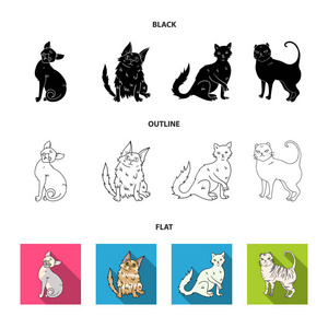 土耳其安哥拉, 英国短毛和其他种类。猫品种集合图标黑色, 平面, 轮廓样式矢量符号股票插画网站